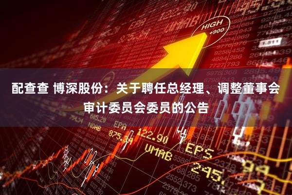 配查查 博深股份：关于聘任总经理、调整董事会审计委员会委员的公告