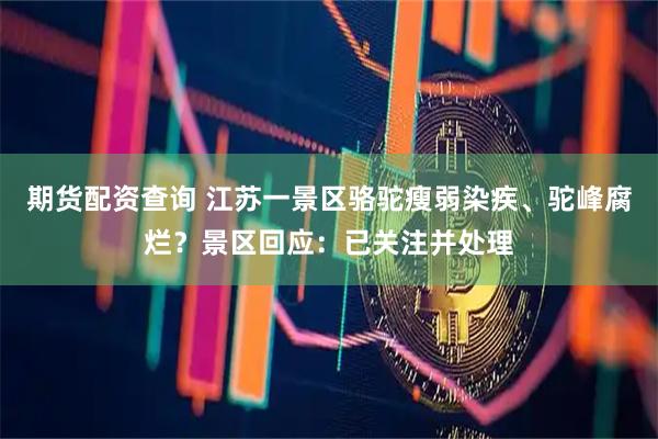 期货配资查询 江苏一景区骆驼瘦弱染疾、驼峰腐烂？景区回应：已关注并处理